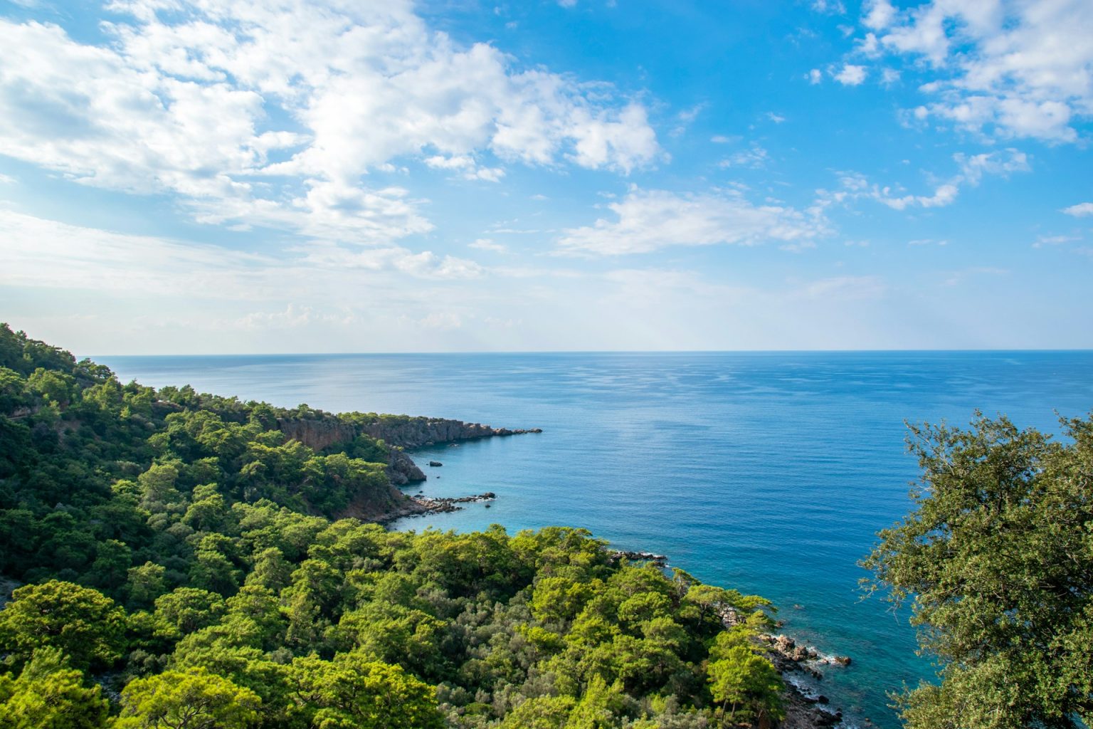 The Rising Power of Wellness and the Example of Pavliani