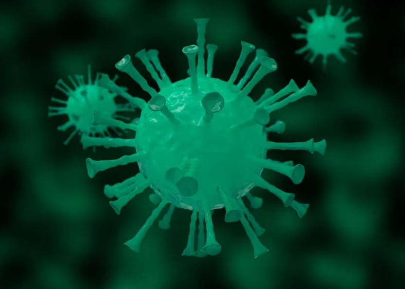 The Covid-19 Cicada Variant Is Here. Your Immunity Probably Doesn’t Recognize It. Covid 19 cicada variant