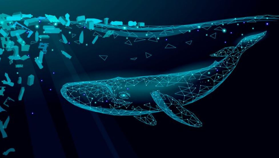 The Language of Whales: How AI is Finally Helping Us Decode Cetacean Communication