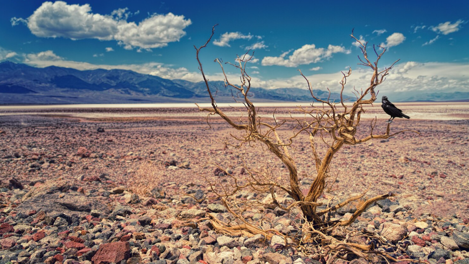 The Desertification of Europe: Why Spain and Italy Are Drying Up at an Unprecedented Rate