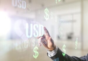 Dollar Tree Customer Experience Investment