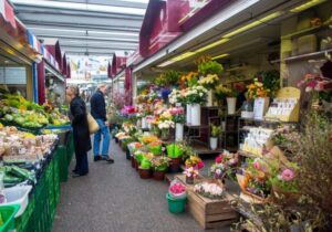 Harvest Market Ann Arbor